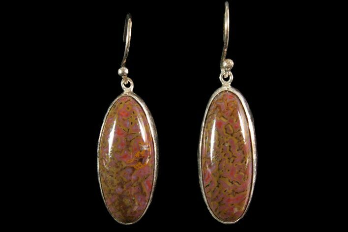 Polished Fossil Dinosaur Bone (Gembone) Earrings #115185